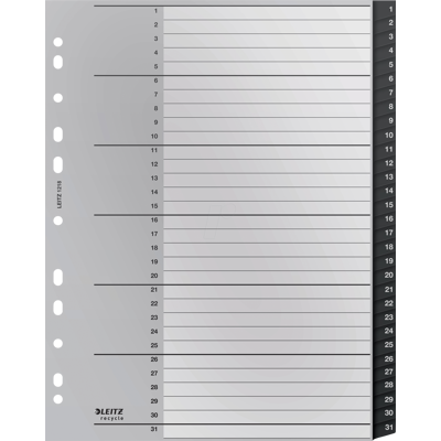 LEITZ 12180000 - Kunststoffregister, A4 (1-31), Recycle LEITZ 12180000 - Kunststoffregister, A4 (1-31), Recycle