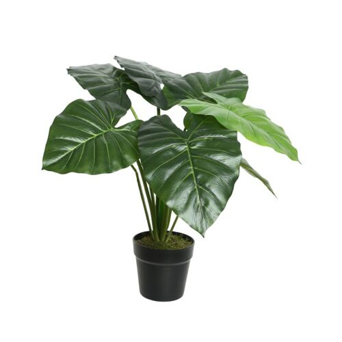 MARELIDA Taro Pflanze im Topf - Kunstpflanze - H: 52cm - grün