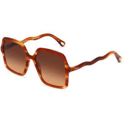 Chloé CH0086S Damen-Sonnenbrille Vollrand Quadratisch Acetat-Gestell, braun Chloé CH0086S Damen-Sonnenbrille Vollrand Quadratisch Acetat-Gestell, braun