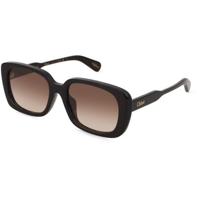Chloé - Ch0225Sk 002 - Braun Havana - 55mm - Sunglasses Chloé - Ch0225Sk 002 - Braun Havana - 55mm - Sunglasses
