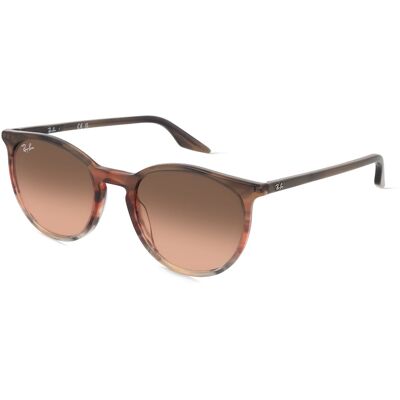 Ray-Ban RB2204 Unisex-Sonnenbrille Vollrand Panto Acetat-Gestell, braun Ray-Ban RB2204 Unisex-Sonnenbrille Vollrand Panto Acetat-Gestell, braun