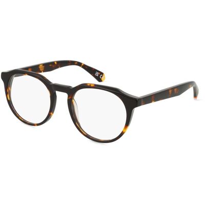 Superdry SDO 3013 Damen-Brille inkl. Gläser Vollrand Panto Kunststoff-Gestell 51/20/145, braun Superdry SDO 3013 Damen-Brille inkl. Gläser Vollrand Panto Kunststoff-Gestell 51/20/145, braun