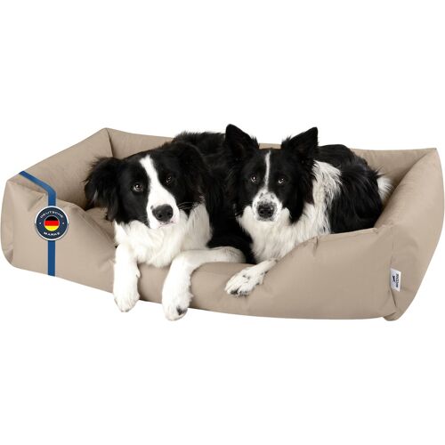 BedDog Hundebett ZARA Hundekissen mit waschbaren Bezug Hundekorb Hundesofa