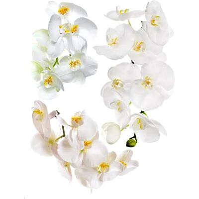 Sanders & Sanders Wandtattoo Blumen Weiß 65 x 85 cm 600283 Sanders & Sanders Wandtattoo Blumen Weiß 65 x 85 cm 600283