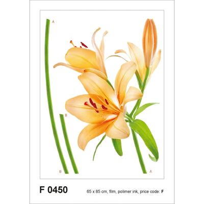 Sanders & Sanders Wandtattoo Blumen Orange und Grün 65 x 85 cm 600256 Sanders & Sanders Wandtattoo Blumen Orange und Grün 65 x 85 cm 600256