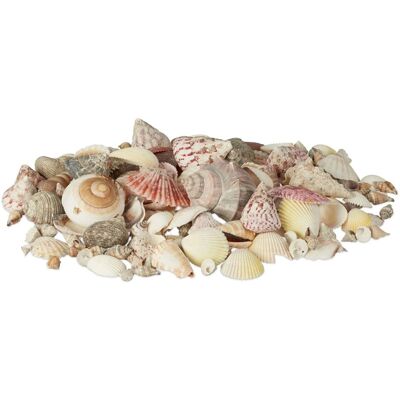 Relaxdays Muschel Dekoset - Strandatmosphäre - 1kg Relaxdays Muschel Dekoset - Strandatmosphäre - 1kg