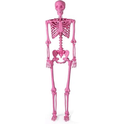 Costway Halloween Deko Skelett Rosa160 cm Costway Halloween Deko Skelett Rosa160 cm