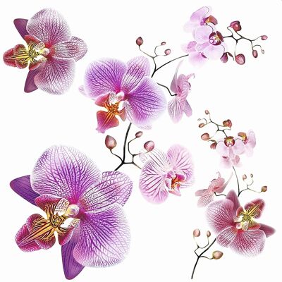 Sanders & Sanders Wandtattoo Blumen Rosa und Lila 30 x 30 cm 600338 Sanders & Sanders Wandtattoo Blumen Rosa und Lila 30 x 30 cm 600338