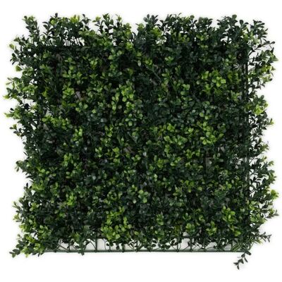 Karat Kunstpflanzen Boxwood Pflanzenwand (50 cm) - Künstliche Pflanzen Karat Kunstpflanzen Boxwood Pflanzenwand (50 cm) - Künstliche Pflanzen