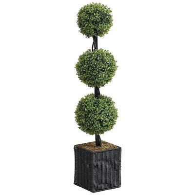 Vente-unique Kunstpflanze Pilana Grün 18 cm Vente-unique Kunstpflanze Pilana Grün 18 cm