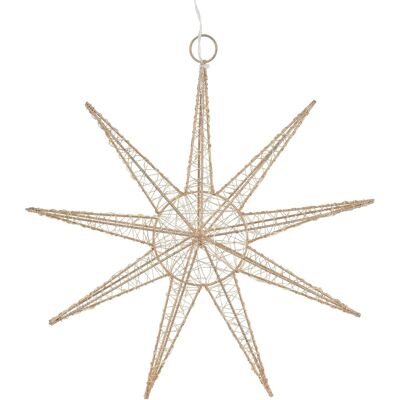 ECD Germany LED Deko Weihnachtsstern 30 Warmweiß LED 30cm Gold Batteriebetrieben ECD Germany LED Deko Weihnachtsstern 30 Warmweiß LED 30cm Gold Batteriebetrieben