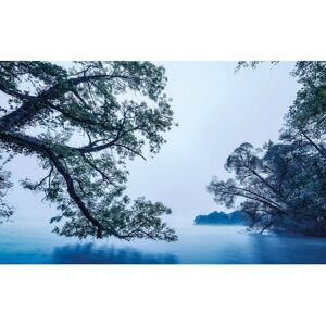 KOMAR Blue Waters Tapete - 400x250 cm - Vlies KOMAR Blue Waters Tapete - 400x250 cm - Vlies
