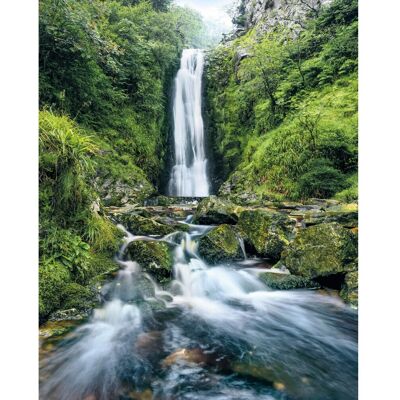 KOMAR Grüne Wasserfall Tapete 200x250cm KOMAR Grüne Wasserfall Tapete 200x250cm
