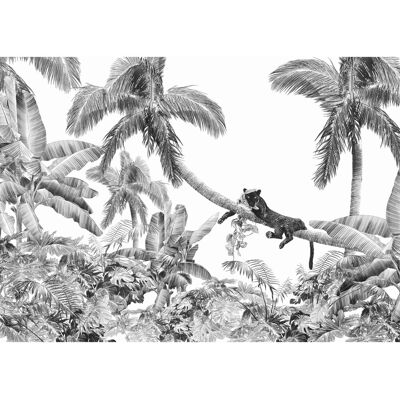 Komar - Black Panther - 350 x 250 cm - Nature - Wandtapete Komar - Black Panther - 350 x 250 cm - Nature - Wandtapete