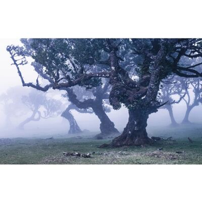 KOMAR Ghost Line Tapete - 400x250 cm Landschaftsbild KOMAR Ghost Line Tapete - 400x250 cm Landschaftsbild
