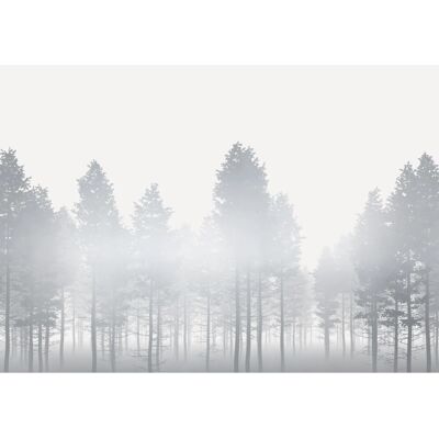 KOMAR Silberne Haze Tapete - 400x280cm, Weiß (Silber, Grau) - Tapete KOMAR Silberne Haze Tapete - 400x280cm, Weiß (Silber, Grau) - Tapete