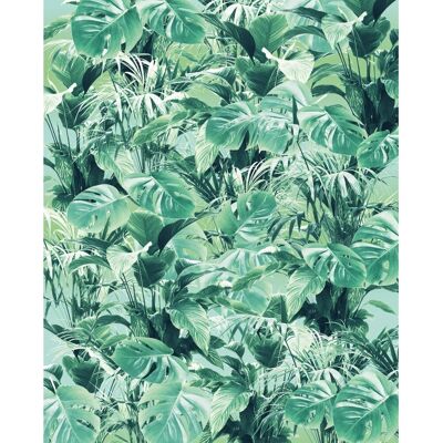 KOMAR Evergreen Wandtapete - Natur, Umweltfreundlich, 200x250 cm KOMAR Evergreen Wandtapete - Natur, Umweltfreundlich, 200x250 cm