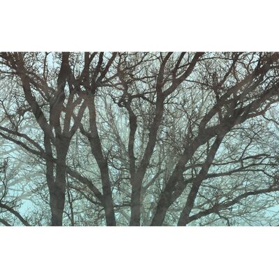 KOMAR Fliesentapete "Whispering Woods" - 400x250 cm - Schwarz/Blau KOMAR Fliesentapete "Whispering Woods" - 400x250 cm - Schwarz/Blau