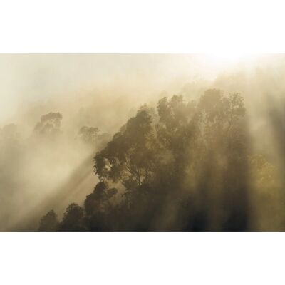 KOMAR Misty Mountain Wandbild - Braun KOMAR Misty Mountain Wandbild - Braun
