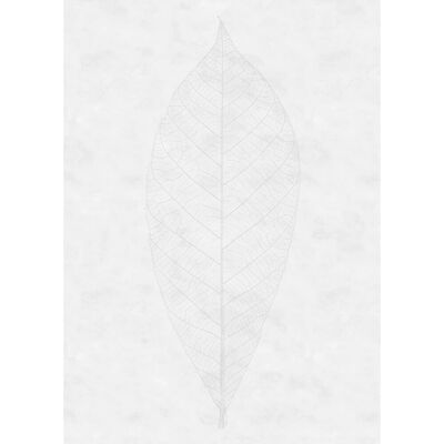 KOMAR Decent Leaf Tapete - 200x280 cm, Grau KOMAR Decent Leaf Tapete - 200x280 cm, Grau