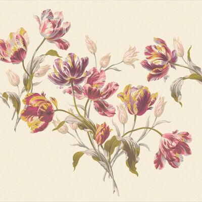 Laura Ashley Gosford Wandbild - Große Tulpen - Fototapete Laura Ashley Gosford Wandbild - Große Tulpen - Fototapete
