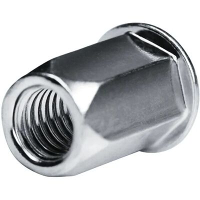 GOEBEL 250 Blindnietmuttern Nietmuttern M10 Stahl Verzinkt 13,0 x 24,0 mm Flachkopf Offen Muttern Setzmutter Go-Nut GOEBEL 250 Blindnietmuttern Nietmuttern M10 Stahl Verzinkt 13,0 x 24,0 mm Flachkopf Offen Muttern Setzmutter Go-Nut