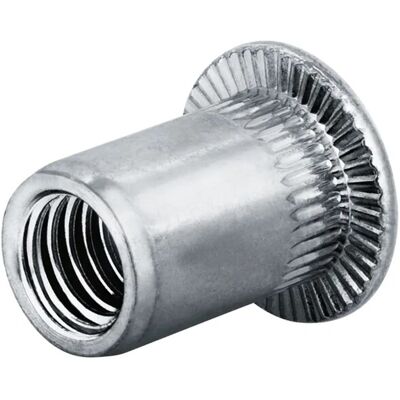 GOEBEL 250 Blindnietmuttern Nietmuttern M8 Edelstahl A2 10,9 x 21,0 mm Flachkopf Offen Muttern Setzmutter Go-Nut GOEBEL 250 Blindnietmuttern Nietmuttern M8 Edelstahl A2 10,9 x 21,0 mm Flachkopf Offen Muttern Setzmutter Go-Nut
