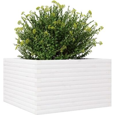 vidaXL Pflanzkübel Weiß 80x80x46 cm Massivholz Kiefer - Pflanzkübel vidaXL Pflanzkübel Weiß 80x80x46 cm Massivholz Kiefer - Pflanzkübel