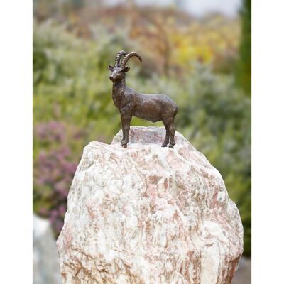 Rottenecker Bronze-Skulptur Steinbock Rottenecker Bronze-Skulptur Steinbock