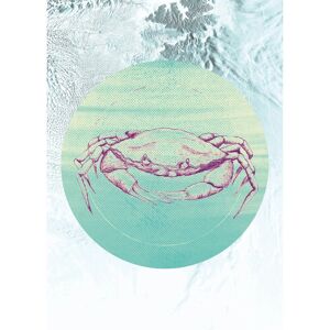 KOMAR Crab Sea Bunt Kinderzimmer Poster - Poster KOMAR Crab Sea Bunt Kinderzimmer Poster - Poster