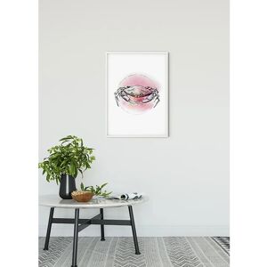 KOMAR Krebs Aquarell Tierposter - Indoor Dekoration KOMAR Krebs Aquarell Tierposter - Indoor Dekoration