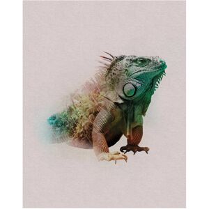 KOMAR Tiere Paradies Iguana Poster - Innenbereich KOMAR Tiere Paradies Iguana Poster - Innenbereich