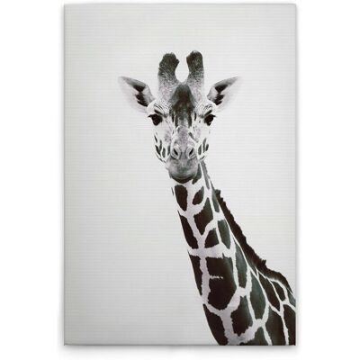 Tadessi Leinwandbild - M1-No.51126 - Tiere Giraffe - 30 x 45 cm - Querformat Tadessi Leinwandbild - M1-No.51126 - Tiere Giraffe - 30 x 45 cm - Querformat