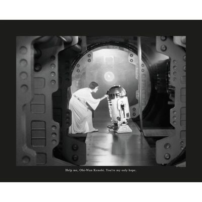 Disney Poster Star Wars Leia & R2D2 Schwarz-Weiß 50 x 40 cm 610255 Disney Poster Star Wars Leia & R2D2 Schwarz-Weiß 50 x 40 cm 610255
