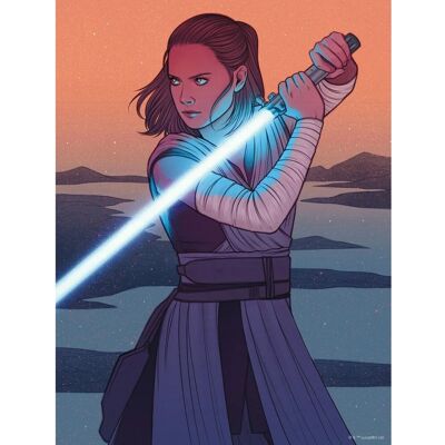 Disney Poster Star Wars Rey Orange und Grau 30 cm x 40 cm 612870 Disney Poster Star Wars Rey Orange und Grau 30 cm x 40 cm 612870