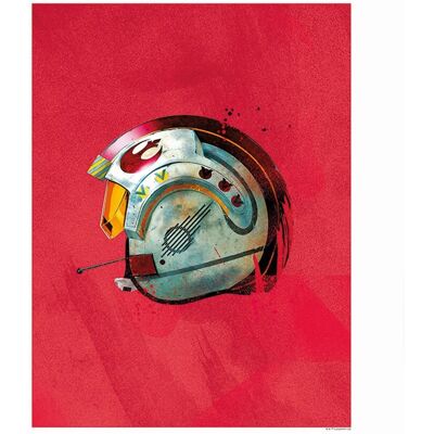 Disney Poster Star Wars Rebellenpilot Rot 40 x 50 cm 610207 Disney Poster Star Wars Rebellenpilot Rot 40 x 50 cm 610207