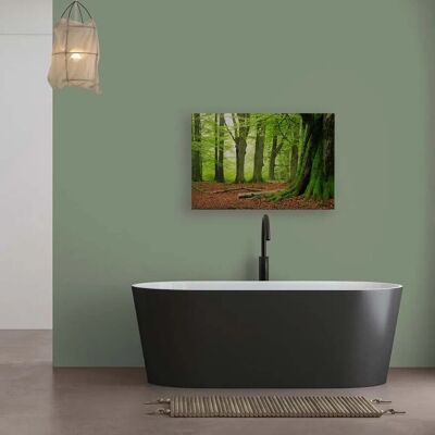 Bricoflor Leinwandbild Natur 120X80 Cm Deko Wandbild Mit Wald Motiv Für Wohnzimmer Und Schlafzimmer Naturbild Grün Braun Bricoflor Leinwandbild Natur 120X80 Cm Deko Wandbild Mit Wald Motiv Für Wohnzimmer Und Schlafzimmer Naturbild Grün Braun