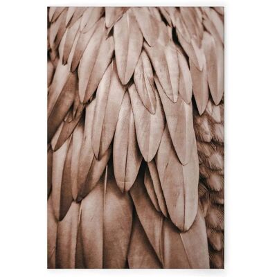 Bricoflor Wandbild Mit Federn Für Wohnzimmer Und Schlafzimmer Leinwandbild Mit Vogel Motiv Beige Deko Bild In 80 X 120 Cm Bricoflor Wandbild Mit Federn Für Wohnzimmer Und Schlafzimmer Leinwandbild Mit Vogel Motiv Beige Deko Bild In 80 X 120 Cm