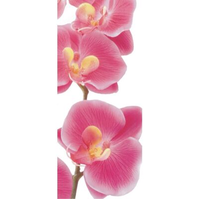 Sanders & Sanders Poster Blumen Rosa 90 x 202 cm 600792 Sanders & Sanders Poster Blumen Rosa 90 x 202 cm 600792