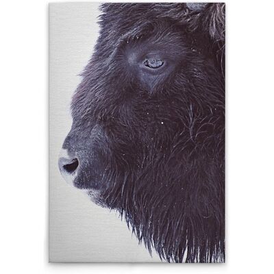 Tadessi Leinwandbild - M1-No.51085 - Tiere Büffel - 80 x 120 cm - Querformat Tadessi Leinwandbild - M1-No.51085 - Tiere Büffel - 80 x 120 cm - Querformat