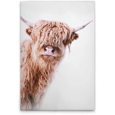 Tadessi Leinwandbild - M1-No.51139 - Tiere Kuh - 60 x 90 cm - Querformat Tadessi Leinwandbild - M1-No.51139 - Tiere Kuh - 60 x 90 cm - Querformat