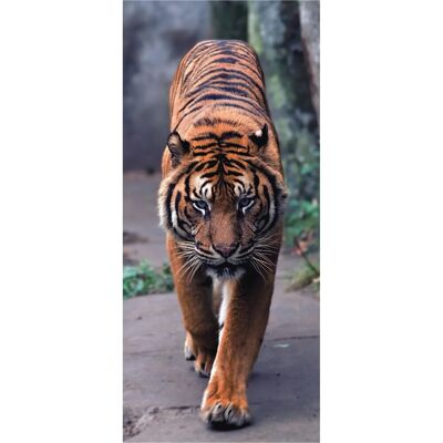 Sanders & Sanders Poster Katze Orange und Grau 90 x 202 cm 600785 Sanders & Sanders Poster Katze Orange und Grau 90 x 202 cm 600785