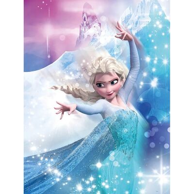 Komar Wandbild Frozen Elsa Action 30 x 40 cm Komar Wandbild Frozen Elsa Action 30 x 40 cm