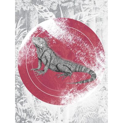 KOMAR - Iguana Circle - 30x40 cm - Tiere bunt - Poster KOMAR - Iguana Circle - 30x40 cm - Tiere bunt - Poster