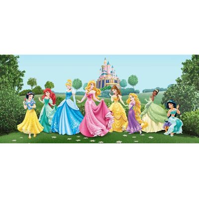 Disney Poster Prinzessinnen Grün Blau und Rosa 202 x 90 cm 600873 Disney Poster Prinzessinnen Grün Blau und Rosa 202 x 90 cm 600873
