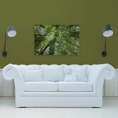 Bricoflor Leinwandbild Wald 120X80 Cm Natur Wandbild Grün Für Wohnzimmer Und Schlafzimmer Deko Leinwand Mit Baumkronen Bricoflor Leinwandbild Wald 120X80 Cm Natur Wandbild Grün Für Wohnzimmer Und Schlafzimmer Deko Leinwand Mit Baumkronen
