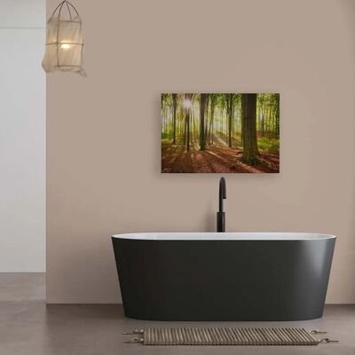Bricoflor Wald Sonne Leinwandbild In 90 X 60 Cm Deko Waldbild Für Wohnzimmer Und Schlafzimmer Wandbild Mit Natur Motiv Bricoflor Wald Sonne Leinwandbild In 90 X 60 Cm Deko Waldbild Für Wohnzimmer Und Schlafzimmer Wandbild Mit Natur Motiv