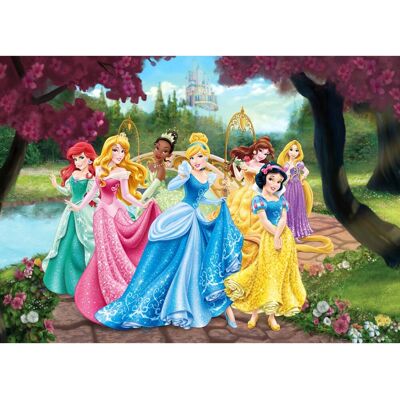 Disney Poster Prinzessinnen Rosa Gelb und Blau 160 x 110 cm 600655 Disney Poster Prinzessinnen Rosa Gelb und Blau 160 x 110 cm 600655