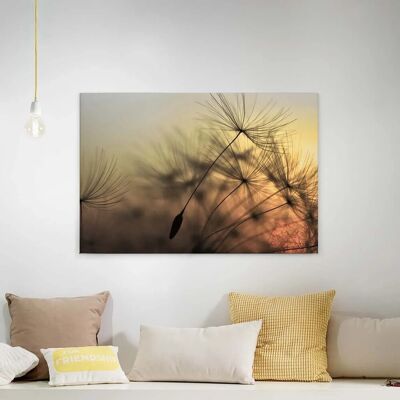 Bricoflor Leinwand Mit Pusteblume In Grau Gold Natur Wandbild Mit Sonnenuntergang Ideal Für Schlafzimmer Und Flur Canvas Bild Auf Keilrahmen Bricoflor Leinwand Mit Pusteblume In Grau Gold Natur Wandbild Mit Sonnenuntergang Ideal Für Schlafzimmer Und Flur Canvas Bild Auf Keilrahmen