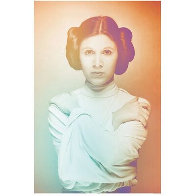 Disney Poster Star Wars Leia Orange und Grün 50 x 70 cm 610211 Disney Poster Star Wars Leia Orange und Grün 50 x 70 cm 610211